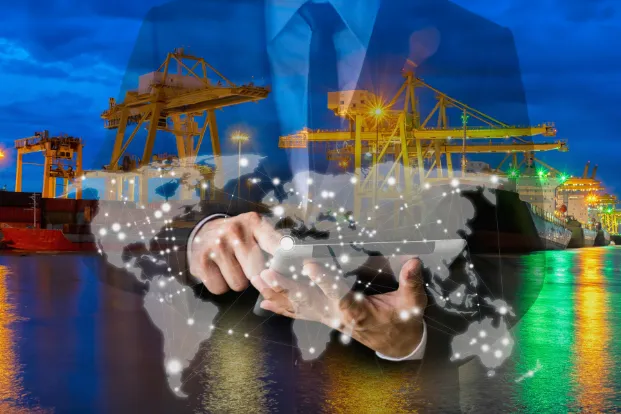 Sourcing & Procurement